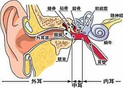 混合性耳聋的病因及治疗有哪些